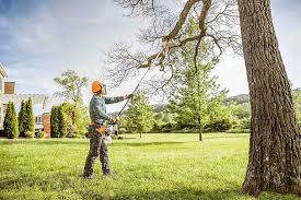 Why Choose Our Tree Removal Services in Midway North, TX?